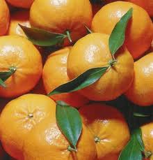 mandarino2
