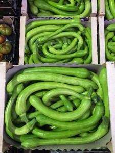 Zucchine-Trombetta
