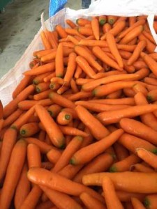 carote 2