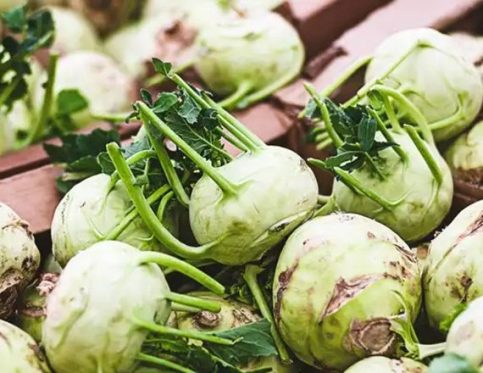 KOHLRABI