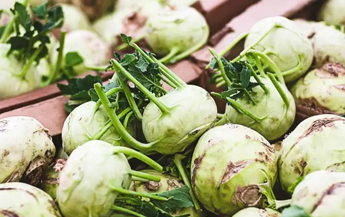 KOHLRABI