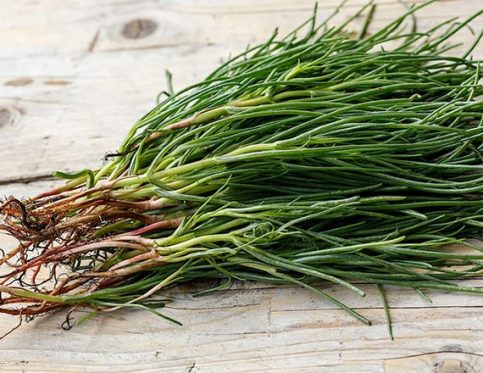 MONK’S BEARD