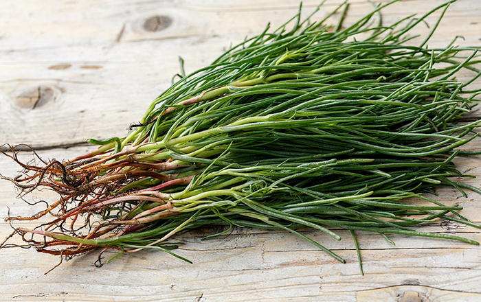 MONK’S BEARD