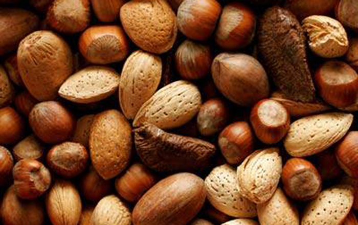 WALNUTS and HAZELNUTS