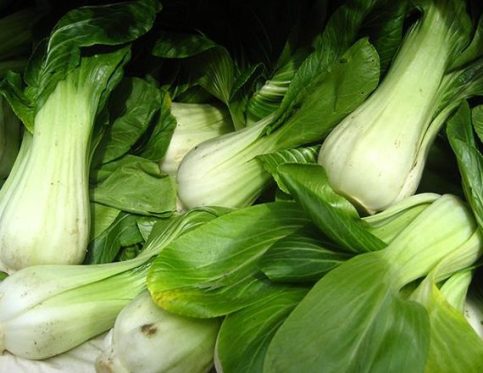 PAK CHOI