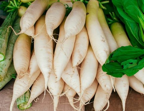 TURNIP (or DAIKON RADISH)