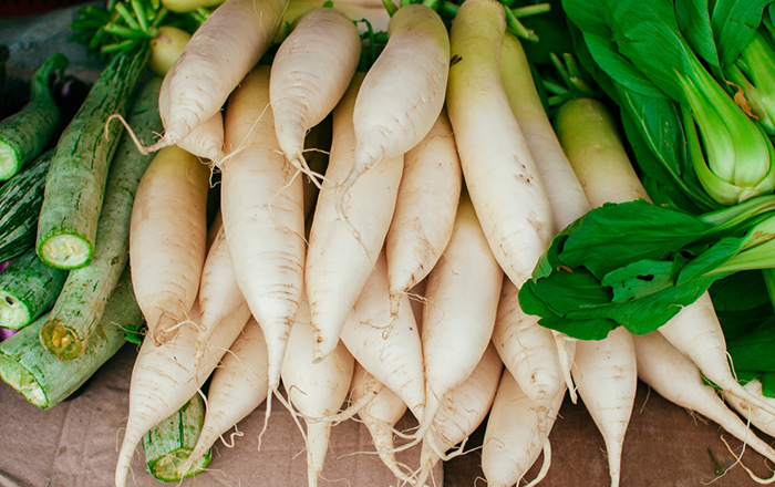 TURNIP (or DAIKON RADISH)