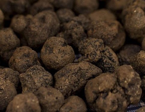 BLACK TRUFFLE