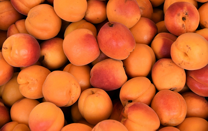 APRICOCKS