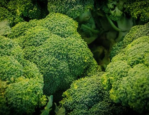 BROCCOLI