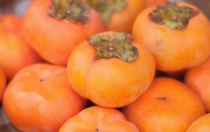 PERSIMMONS