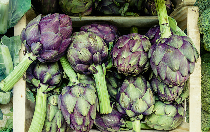 ARTICHOKE