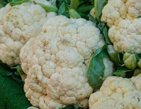 CAULIFLOWER