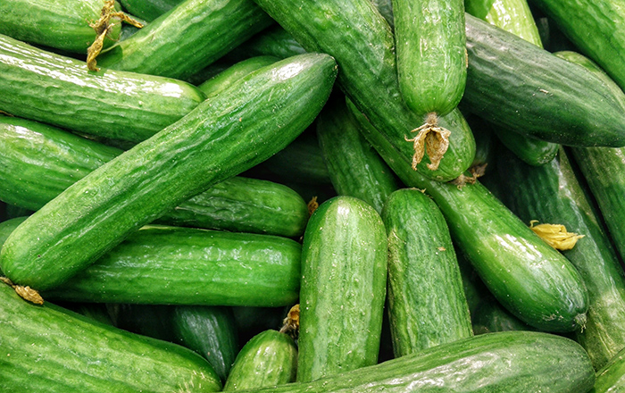 LOCAL CUCUMBER