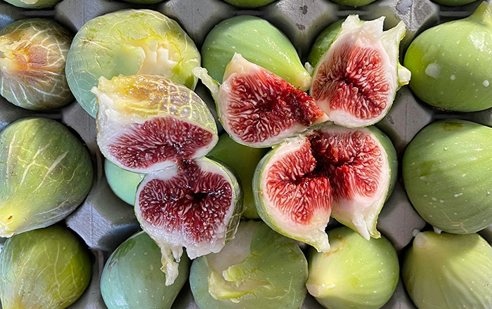 FIGS