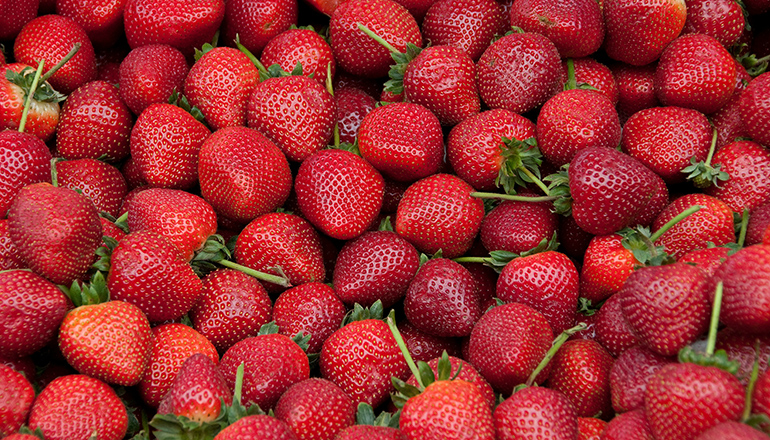 STRAWBERRIES