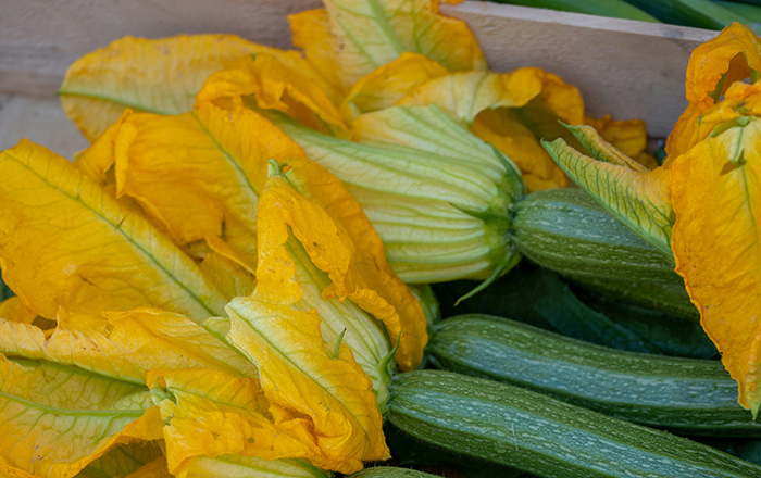 ZUCCHINI BLOSSOMS AND SQUASH BLOSSOMS