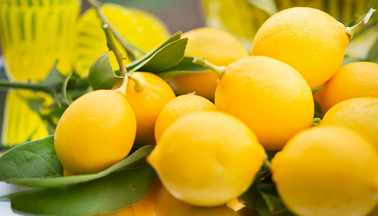 LIMONES, CIDRAS Y BERGAMOTAS