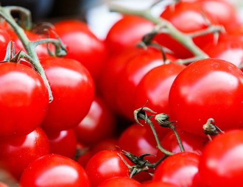 ITALIAN TOMATOES