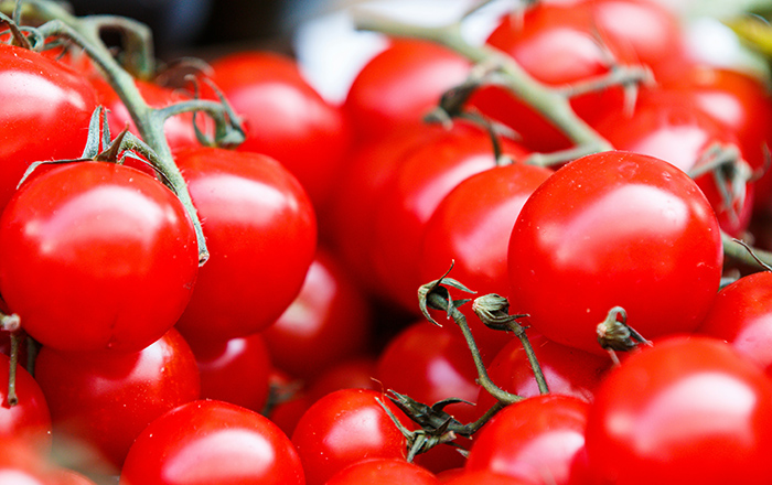 ITALIAN TOMATOES