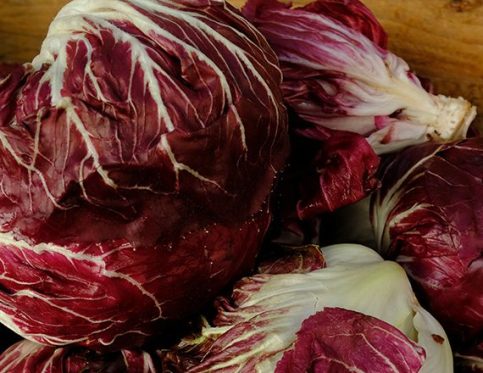 VENETIAN RADICCHIO