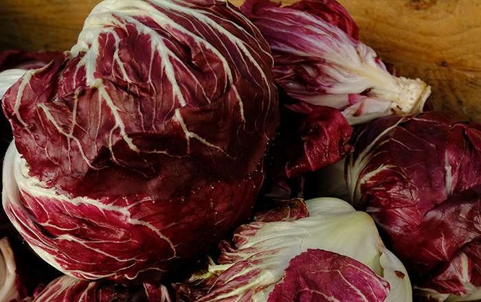 VENETIAN RADICCHIO