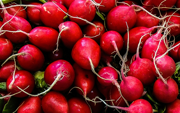 RADISH