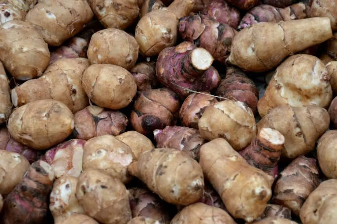 JERUSALEM ARTICHOKE