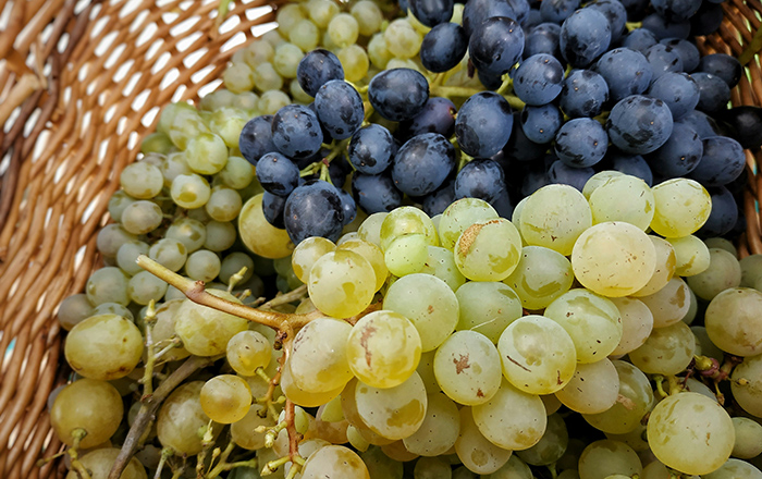 UVAS BLANCAS, NEGRAS, ROJAS