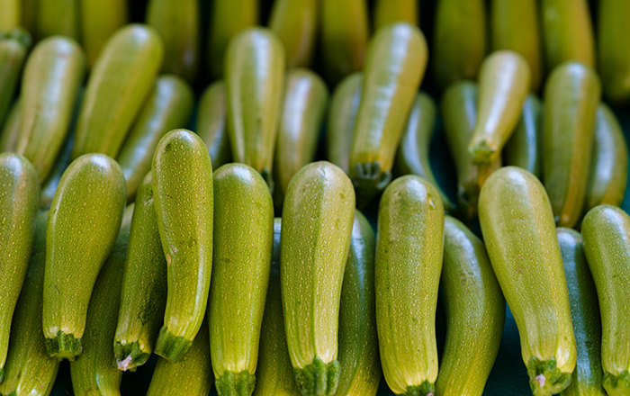 ZUCCHINI