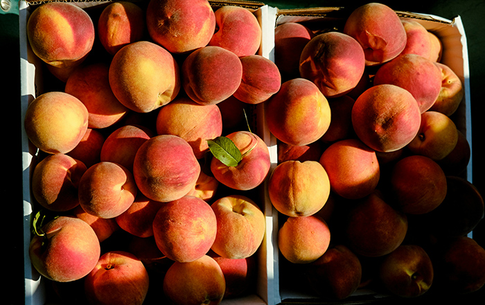 PEACHES AND NECTARINES