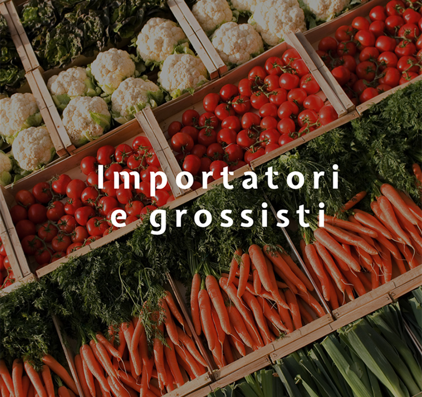 AREA PARTNER MILANO FRESH IMPORTATORI E GROSSISTI